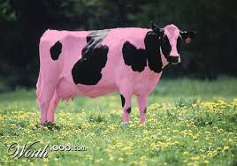 Creating your Pink Cow - Digital Conversations
